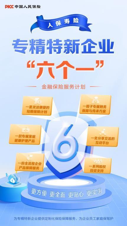 人保壽險:為民服務辦實事 一枝一葉總關情 網絡技術服務